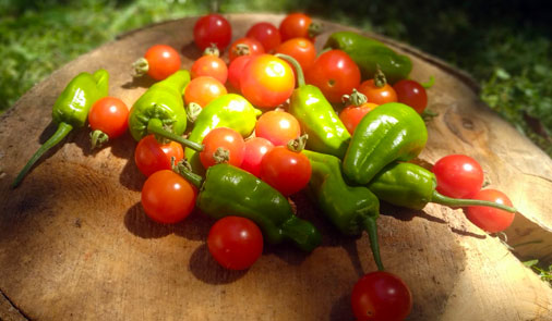 Chuches de la Huerta